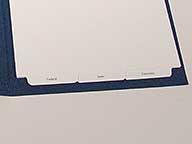 Add Standard or custom tab sets.