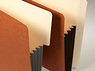 Choose from a variety of tab styles.